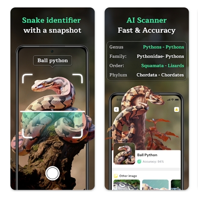 Melhores apps para identificar espécies de cobras