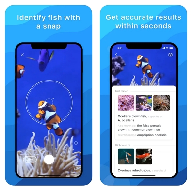Identifique peixes com facilidade através dos melhores aplicativos